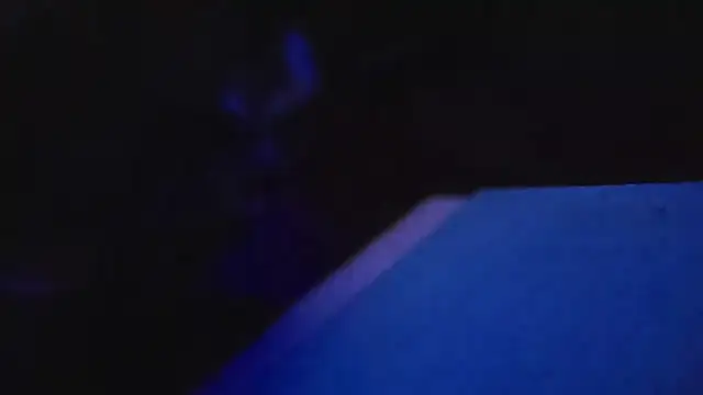 Show Webcam de UncutHammer69