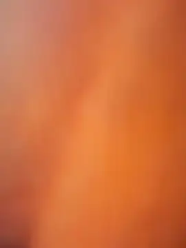 Czat XXX na żywo – ReallyReallyReal