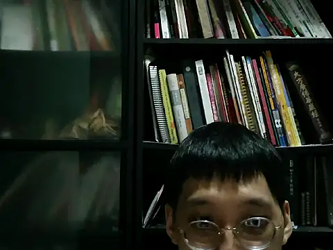 Lv8763 Pertunjukan Webcam