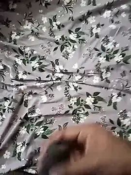 Rohit657600 Live XXX-Chat