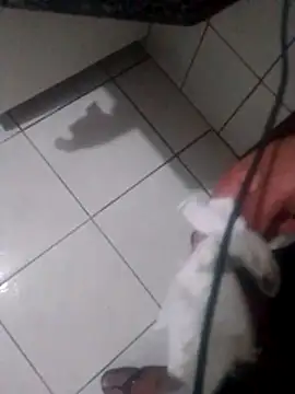 gabrielteron Webbikameraesitys