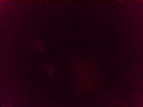 pregoruth Live XXX-chat