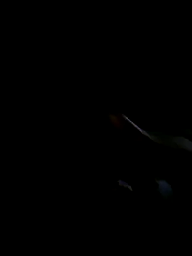 rakkakakakakakakakaak 在線直播表演