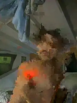 Show webcam de Mannythedude
