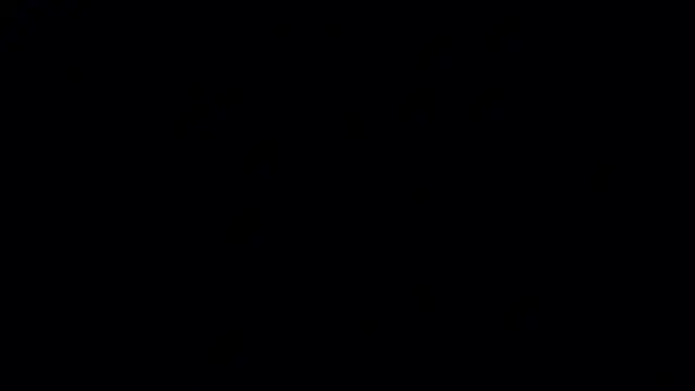 Jasmine_LaneのライブXXXチャット
