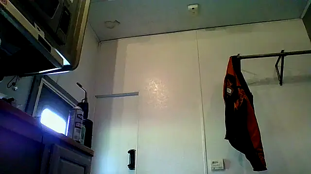 Show de webcam de Warmdiknsider2