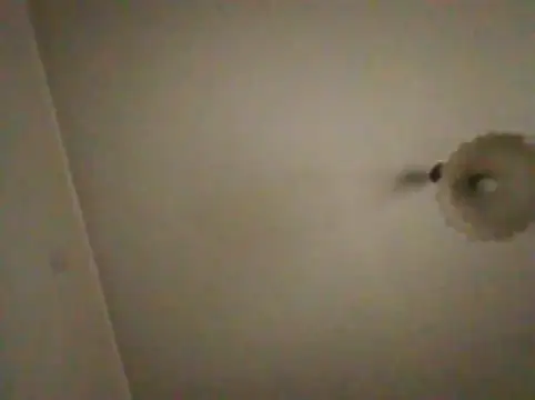 Clacla23mk Chat XXX live