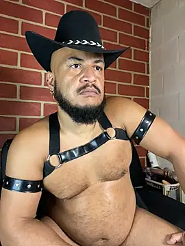 Chat XXX Live the_master_foal_