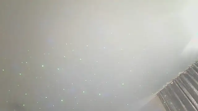Yankeedave420 Live XXX-chat