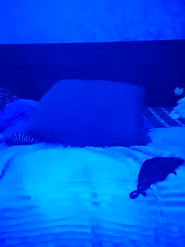 Tasty_Melody élő XXX-chatje