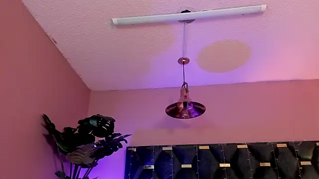 Velvet_Dreamss' Live XXX Chat