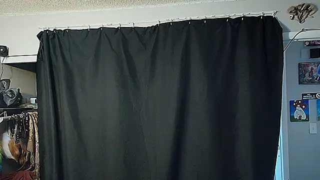 CyberStallion's Webcam Show