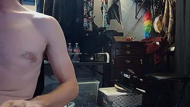 Show Webcam de CyberStallion