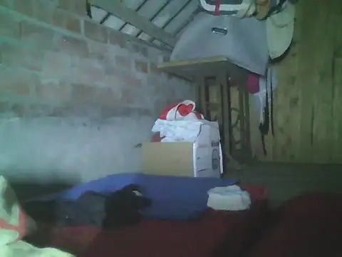 Uyta Pertunjukan Webcam