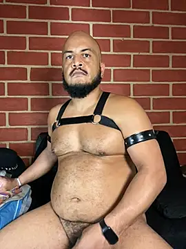 Chat XXX en directo de the_master_foal_