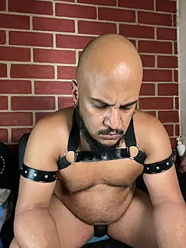 Chatroom XXX en direct de the_master_foal_