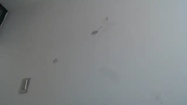 andreaisis2 라이브 XXX 채팅