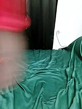 snwflkのウェブカメラショー