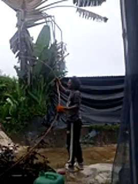 Toycockhot লাইভ XXX চ্যাট