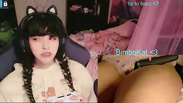 BimboCat élő XXX-chatje