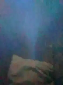 S7LEALTADPERVLIMA7 网络视讯表演