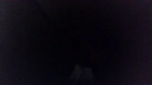 Živý XXX chat Rafal555578