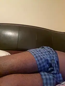 ThickDic28 Show in webcam