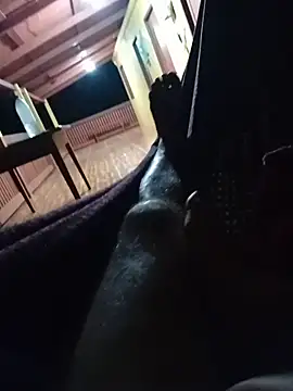 Show de webcam de 69pa