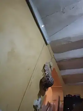 robertitonew's Webcam Show