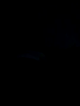 mrx88: διαδικτυακό σόου στην κάμερα