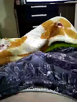 Gallanttrox Pertunjukan Webcam