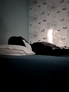 Show webcam de mrx88