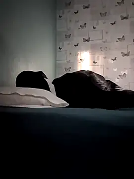 mrx88 Webcam-Show