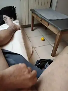Chat +18 de Corref ao vivo
