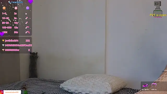 SamaraShadow 现场XXX聊天