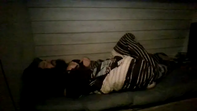 ThisGuy42o 라이브 XXX 채팅