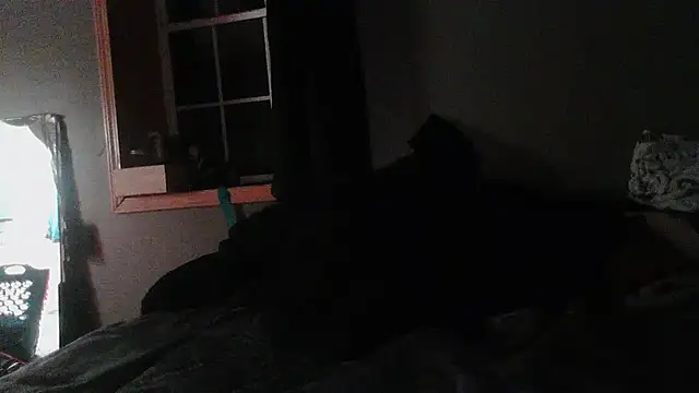 Czat XXX na żywo – cw1ss