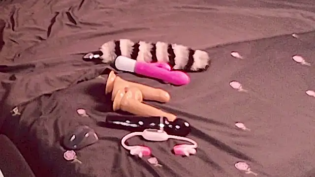 Chat XXX Live NinaSin