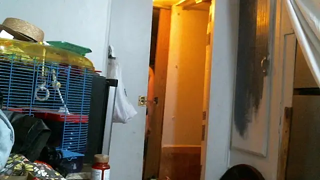 SexyB214 live XXX chat
