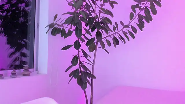 vandalovee_ Chat XXX live