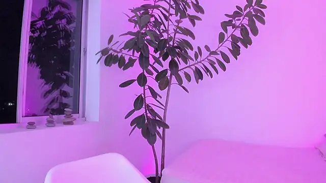 vandalovee_のライブXXXチャット
