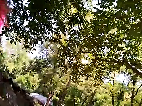 Živý XXX chat Flacara100