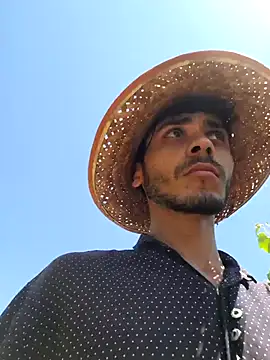 Handsomeboy3344: διαδικτυακό σόου στην κάμερα