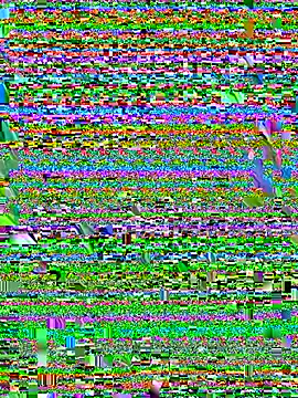 hollyharmd élő XXX-chatje