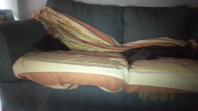 Chat XXX ao vivo de JtkoH2204