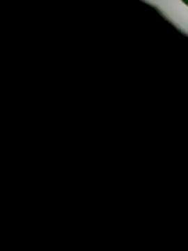 Show Webcam de pino870