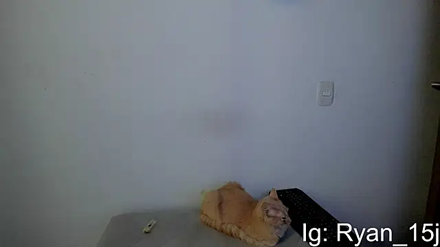 RyanHorsemann Live XXX chat