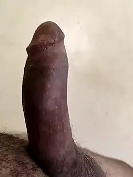 عرض كام alkhabiir