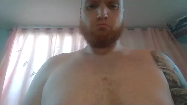Show Webcam de thetearits