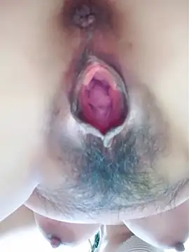 BSHBDJB9913 网络视讯表演